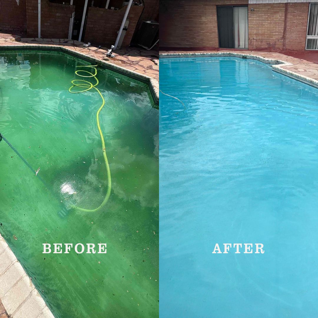 pool cleaning before after