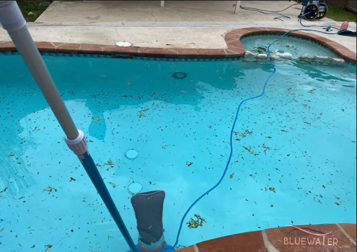 Pool cleaning in progress with vacuum equipment removing leaves and debris from a residential swimming pool
